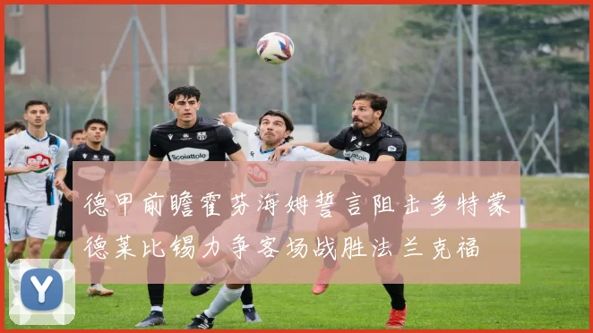 德甲前瞻霍芬海姆誓言阻击多特蒙德莱比锡力争客场战胜法兰克福